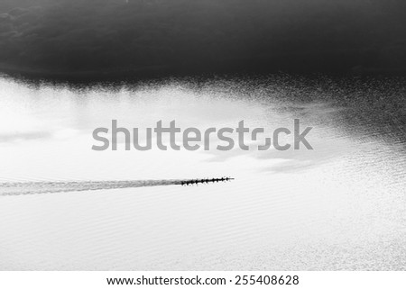Canoes Paddling Birdseye Black White\
Canoes paddlers race across waters silhouetted birdseye air landscape in black and white vintage