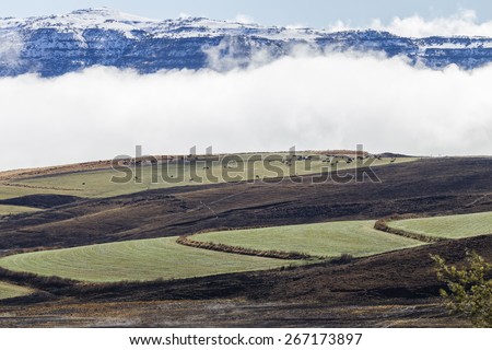 Mountains Snow Animals Landscape\
Mountain snow mist cloud rising over valley cattle animals on green black contrasted scenic landscape
