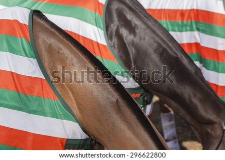 Horses Colors Abstract\
Horse pony grooming neck hair mange body cover closeup abstract animal detail.