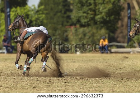 Horse Polo-Cross\
Polo-Cross Player rider horse action scoops ball with racket net play equestrian fields.
