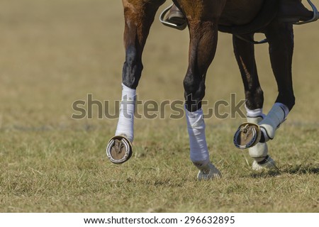 Horse Shoe\
Horse pony leg metal shoes closeup abstract animal detail.