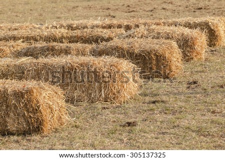Cattle Feed Grass Bales\
Farming grass bales of cattle feed