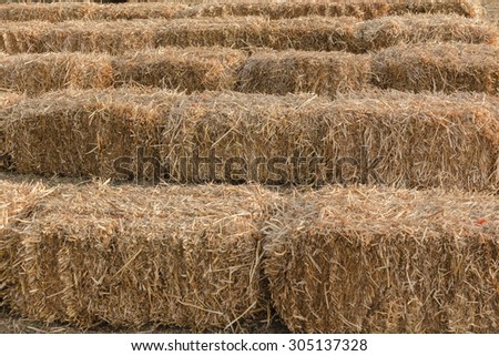 Farm Grass Bales\
Farming grass bales of cattle feed