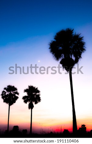 Palm tree silhouette with the moon in blue sky