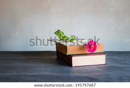 Old book and flower still life