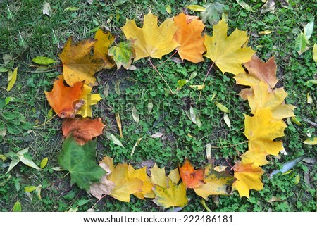 Autumn maple leaves in a shape of frame closeup