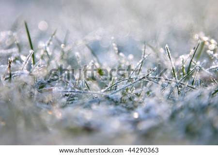 Grass is frozen, extreme depth of field is used and lots of attractive lens flare is present.
