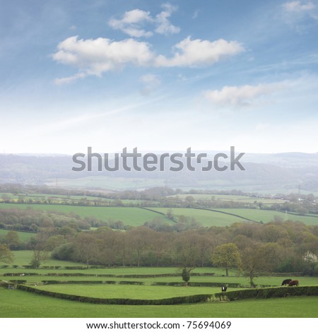 Shropshire countryside, famous for dairy farming.