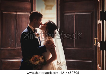 silhouette of the wedding couple of a husband and wife who kiss after the wedding, a stylish man in a wedding suit kisses a girl in a wedding dress