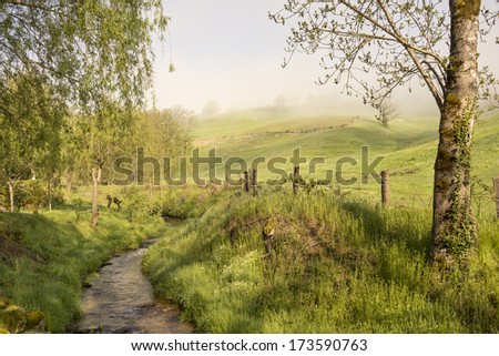 A landscape with a brooklet, green hills and fog. It is early in the morning, so there is mist rising from the fields of grass.