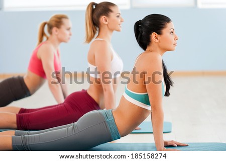 Making their body flexible. Side view of three beautiful young women in sports clothing stretching together while leaning at exercise mats