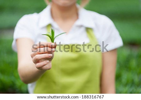 Think green! Cropped image of woman in apron stretching out green leafs in hand