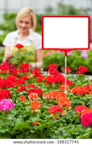 Copy space for your advertisement. Close-up of copy space on the commercial sign with woman working with flowers on the background