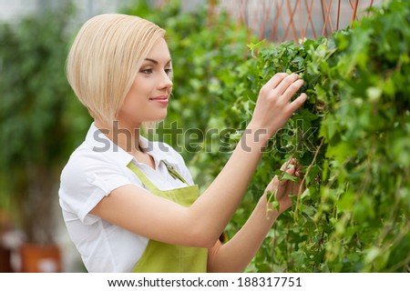 Taking good care of plants. Beautiful young woman in apron taking care of plants