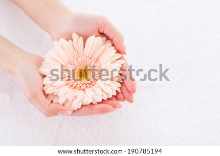 Beautiful and natural. Close-up of beautiful female hands holding flower