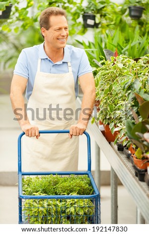 I love my job. Front view of handsome mature man in apron using a cart full of potted plants and while standing in a greenhouse