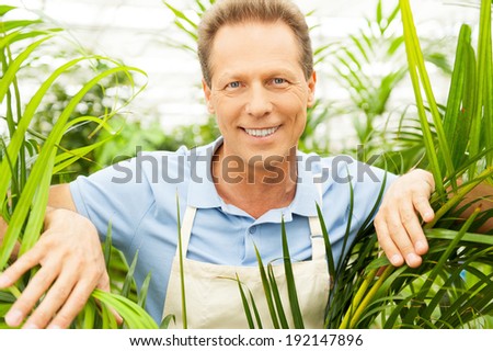 Happy gardener. Handsome mature man looking through plants and smiling