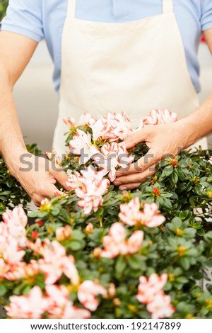 Gardening. Cropped image of man in apron taking care of flowers while standing in greenhouse