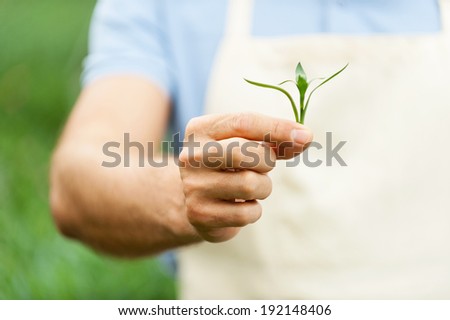 Think green! Close up image of man in apron stretching out green leafs in hand