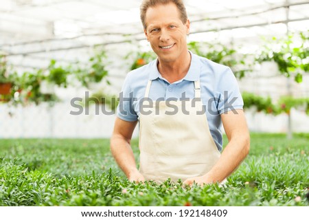 Man gardening. Handsome man in apron taking care of plants while standing in greenhouse