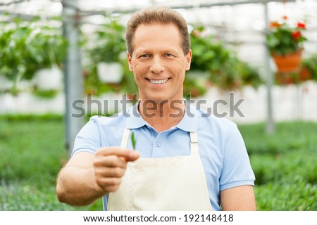 Green life. Handsome mature man in apron holding green leafs in hand and looking at camera