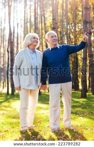 Look over there. Full length of happy senior couple holding hands and walking by par while man pointing away