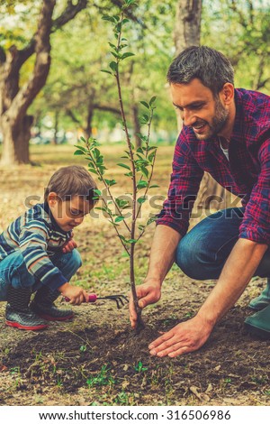 Good day for gardening. Happy young man planting a tree while his little son helping him