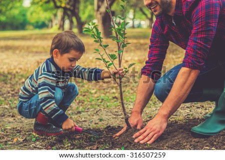 Let me help you! Little boy helping his father to plant the tree while working together in the garden