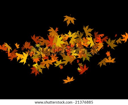 Autumn leaves isolated on black