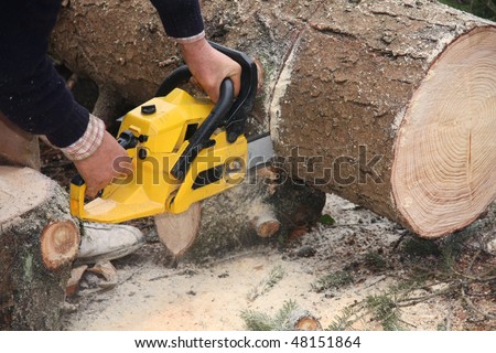 Cutting wood with chain saw