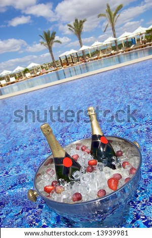 Champagne bottles in an ice cooler with strawberries in a tropical swimming pool with palm trees in the background