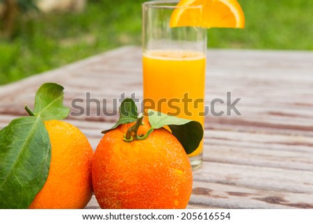 Two fresh sicilian oranges. A glass of fresh orange juice in the background
