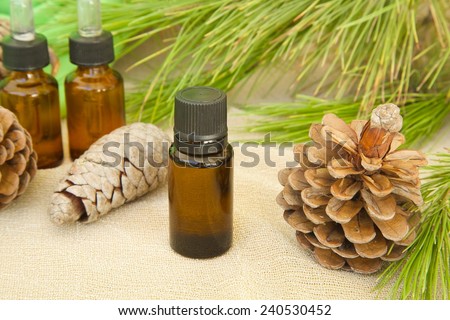 A dropper bottle of pine tree essential oil. Conifer cones and pine tree twigs in the background