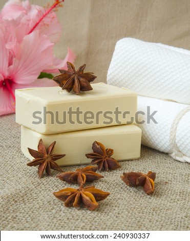 Soap with star anise oil. Star anise fruits in the background