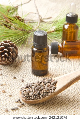 A dropper bottle of Aleppo pine essential oil. Conifer cone and aleppo pine kernels in the background