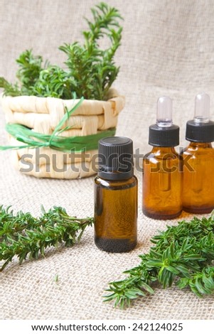 A dropper bottle of summer savory essential oil. Summer savory twigs in woven vase in the background.