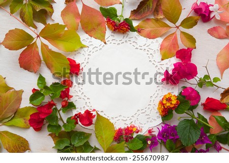 Flower composition in the form of a circle on a white surface. Free space for a text