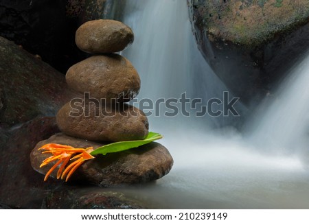 Relaxing Image of Zen rock with wild flower with flowing water as background creating a sens of tranquility