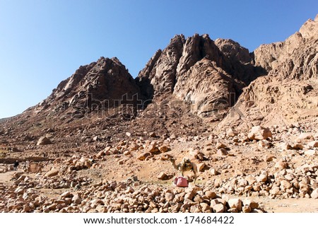 Saint Catherine Area.The path leading down Mt. Sinai to St. Catherine\'s Monastery