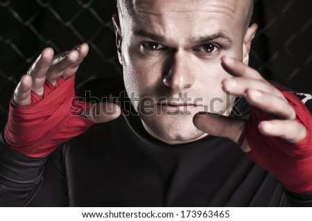 Mixed Martial Arts Fighter