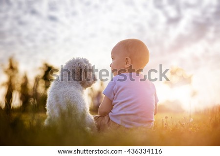Little boy and white puppy outdoors in summer