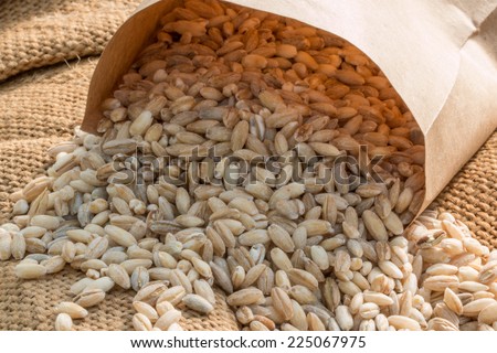 Processed organic wheat grains