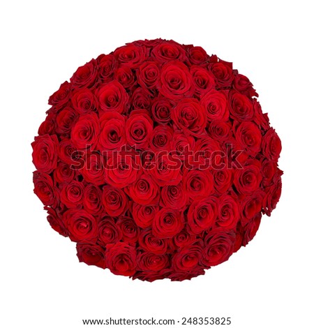 Seventy one red roses isolated on white