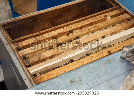 Upper view at the opened beehive with frames and worker bees it