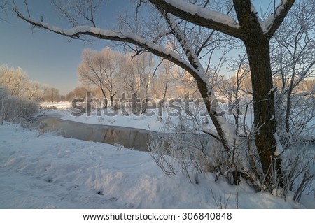 This picture depicts winter morning scene on the river with trees and bush covered with hoarfrost
