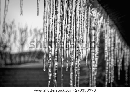 Icicles hanging down from the roof
