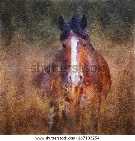 Horse Portrait In Old Oil Painting Style