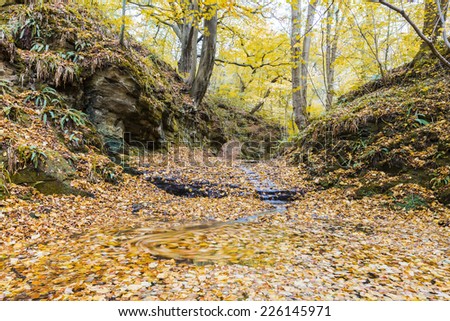 Golden autumn leaves leaving swirling trace on the spring water achieved by long exposure