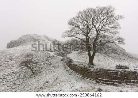 Snow covered Hadrian\'s Wall at Sycamore Gap makes a wonderful black and white image