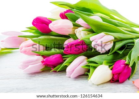 Purple, pink and white tulips bunch, lying